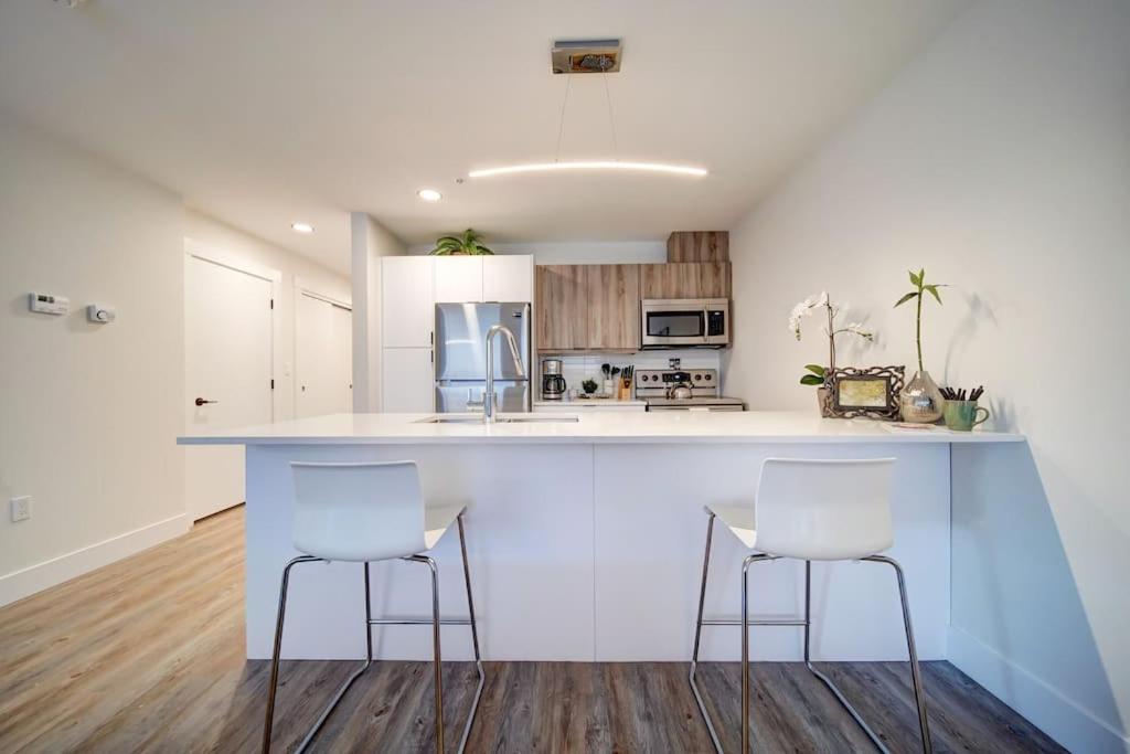 הליפקס Luxurious Modern 2Br Condo Sleeps 5 Coffee, Ac, Wifi מראה חיצוני תמונה