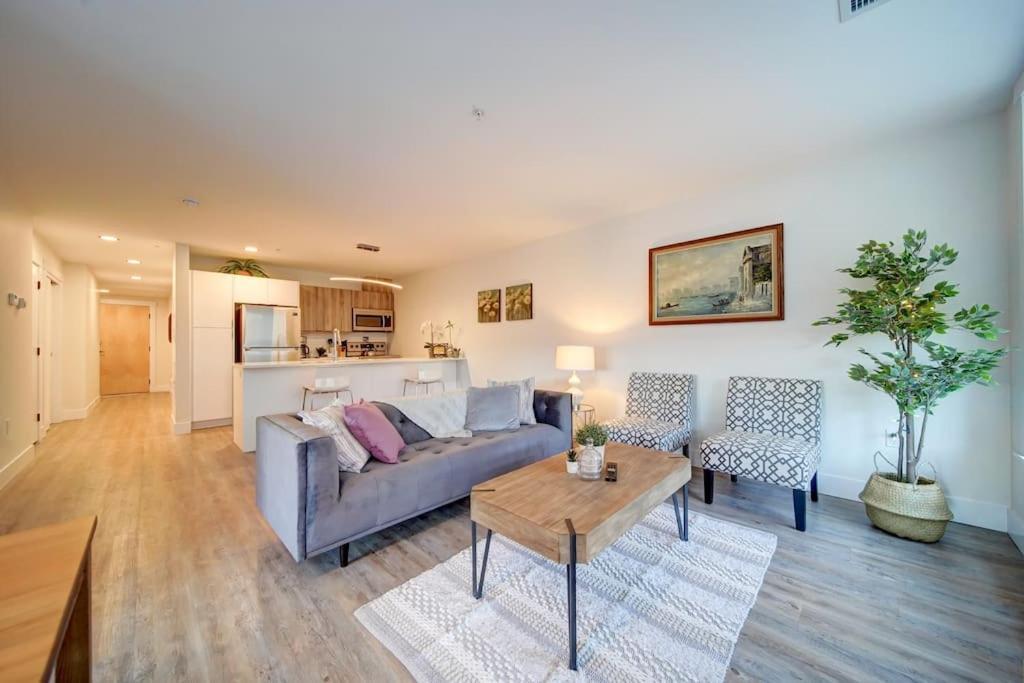 הליפקס Luxurious Modern 2Br Condo Sleeps 5 Coffee, Ac, Wifi מראה חיצוני תמונה
