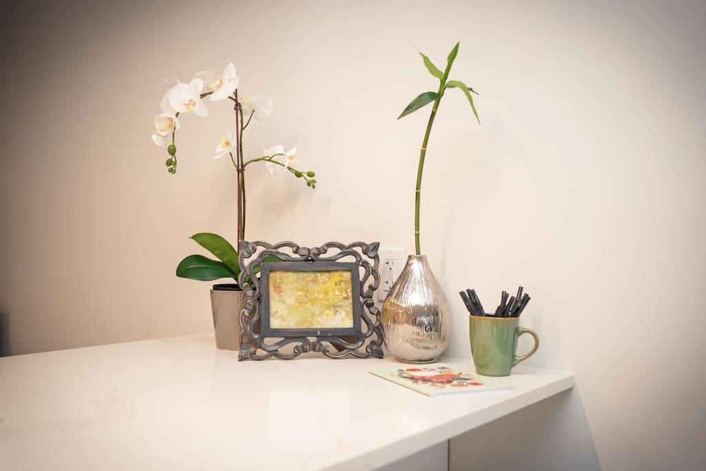 הליפקס Luxurious Modern 2Br Condo Sleeps 5 Coffee, Ac, Wifi מראה חיצוני תמונה